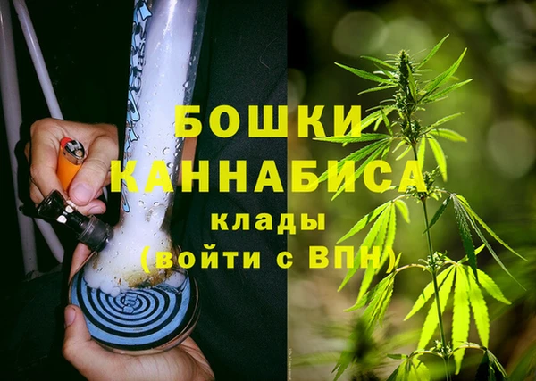 дурь Алзамай