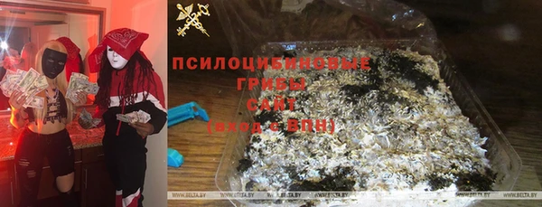 дурь Алзамай