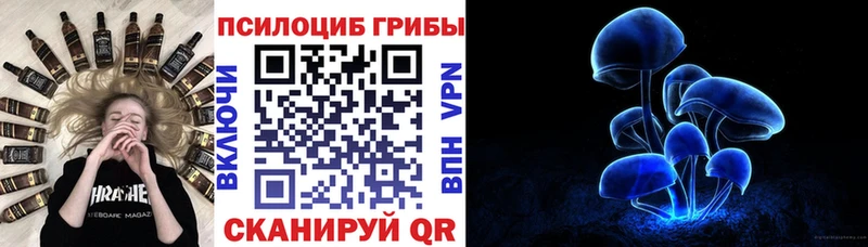 Купить закладки  Ак-Довурак  Галлюциногенные грибы ЛСД 
